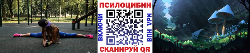mega ТОР  купить наркотик  Зверево  Псилоцибиновые грибы мицелий 